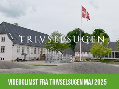 Trivselsugen 2025